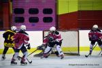 Photo hockey reportage Fem Elite : Bon départ des Bisontines