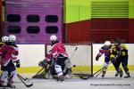 Photo hockey reportage Fem Elite : Bon départ des Bisontines