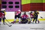 Photo hockey reportage Fem Elite : Bon départ des Bisontines