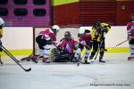 Photo hockey reportage Fem Elite : Bon départ des Bisontines
