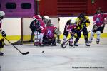 Photo hockey reportage Fem Elite : Bon départ des Bisontines