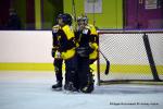 Photo hockey reportage Fem Elite : Bon départ des Bisontines