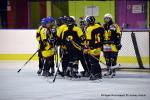 Photo hockey reportage Fem Elite : Bon départ des Bisontines