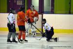 Photo hockey reportage Fem Elite : L'Aigle résiste aux Rafales