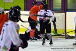 Photo hockey reportage Fem Elite : L'Aigle résiste aux Rafales