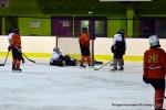 Photo hockey reportage Fem Elite : L'Aigle résiste aux Rafales
