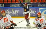Photo hockey reportage Finale élite U15 : les photos.