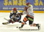 Photo hockey reportage Finale élite U15 : les photos.