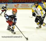 Photo hockey reportage Finale élite U15 : les photos.