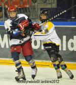 Photo hockey reportage Finale élite U15 : les photos.