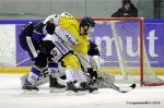 Photo hockey reportage Finale Conti Cup : Du sérieux, de l’envie, le titre et l’euphorie.