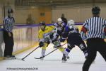 Photo hockey reportage Finale Conti Cup : Du sérieux, de l’envie, le titre et l’euphorie.