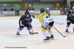 Photo hockey reportage Finale Conti Cup : Du sérieux, de l’envie, le titre et l’euphorie.