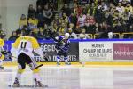 Photo hockey reportage Finale Conti Cup : Du sérieux, de l’envie, le titre et l’euphorie.