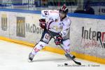 Photo hockey reportage Grenoble résiste face à l'AHL