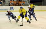 Photo hockey reportage La rentrée des Vipers