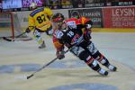 Photo hockey reportage Le derby des Zähringen pour le CP Berne