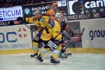 Photo hockey reportage Le derby des Zähringen pour le CP Berne