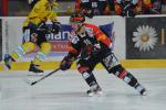 Photo hockey reportage Le derby des Zähringen pour le CP Berne