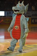 Photo hockey reportage Le derby des Zähringen pour le CP Berne