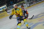 Photo hockey reportage Le derby des Zähringen pour le CP Berne