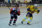 Photo hockey reportage Le derby des Zähringen pour le CP Berne