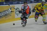 Photo hockey reportage Le derby des Zähringen pour le CP Berne