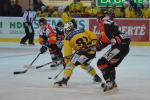 Photo hockey reportage Le derby des Zähringen pour le CP Berne