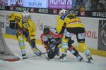 Photo hockey reportage Le derby des Zähringen pour le CP Berne