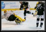 Photo hockey reportage Les Dragons : Première glace en images...