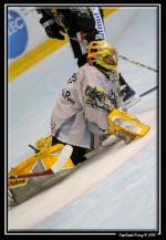 Photo hockey reportage Les Dragons : Première glace en images...
