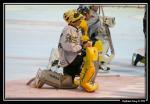 Photo hockey reportage Les Dragons : Première glace en images...