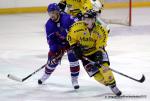 Photo hockey reportage Les Dragons chutent mais espèrent.