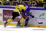 Photo hockey reportage Les Dragons chutent mais espèrent.
