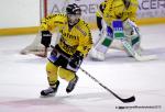 Photo hockey reportage Les Dragons chutent mais espèrent.