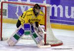 Photo hockey reportage Les Dragons chutent mais espèrent.