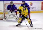Photo hockey reportage Les Dragons chutent mais espèrent.