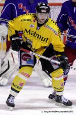 Photo hockey reportage Les Dragons chutent mais espèrent.