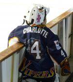 Photo hockey reportage Les résultats du week-end Vipers 