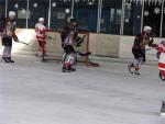 Photo hockey reportage Loisirs : Bilan du tournoi de Besançon