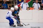 Photo hockey reportage Mondial Roller : Retour Vidéo sur le sacre des Bleuets