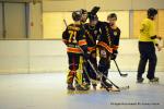 Photo hockey reportage N1 : Départ canon pour les Griffons