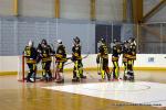 Photo hockey reportage N1 : Les Griffons à la relance