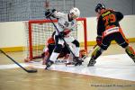 Photo hockey reportage N1 : Les Griffons décollent avec panache ! 