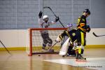 Photo hockey reportage N1 : Les Griffons en mode fusée