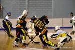 Photo hockey reportage N2 : Démonstration de force