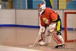 Photo hockey reportage N2 : Les Griffons de Besançon champions !