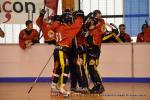Photo hockey reportage N2 : Les Griffons de Besançon champions !