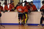 Photo hockey reportage N2 : Les Griffons de Besançon champions !