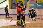 Photo hockey reportage N2 : Les Griffons de Besançon champions !